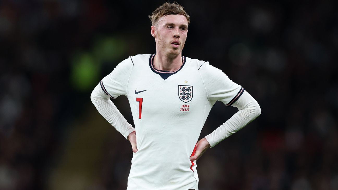 帕尔默谈世界杯落选:看英格兰对墨西哥时半场睡着了